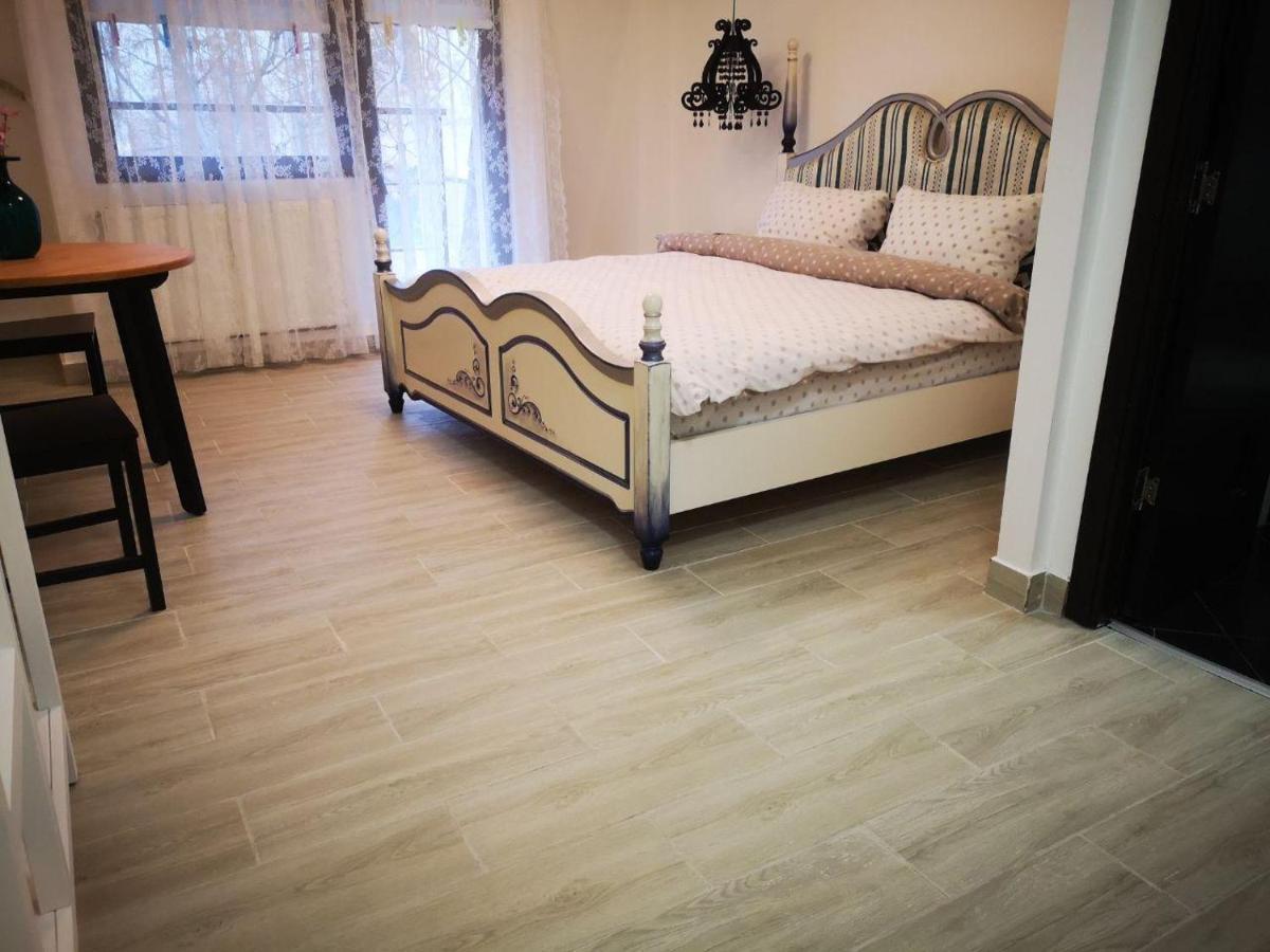 In Timisoaracom Timişoara