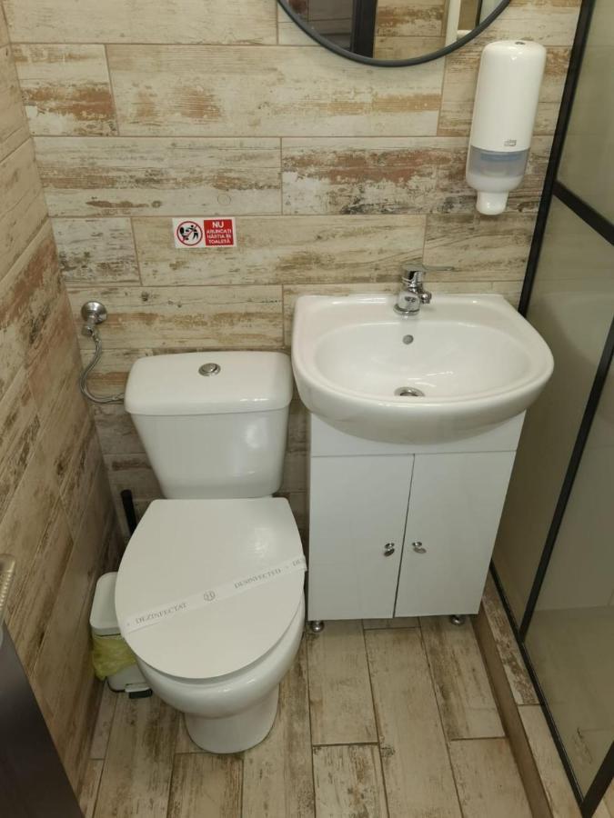 In Timisoaracom * Timişoara