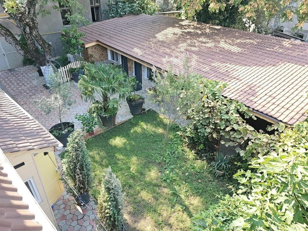 In Timisoaracom Timişoara